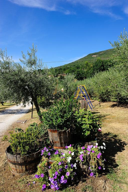 Hostal Colle Degli Olivi Snc Asís Exterior foto