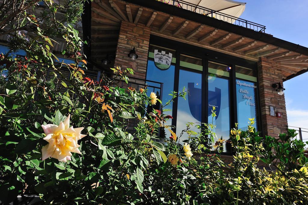 Hostal Colle Degli Olivi Snc Asís Exterior foto