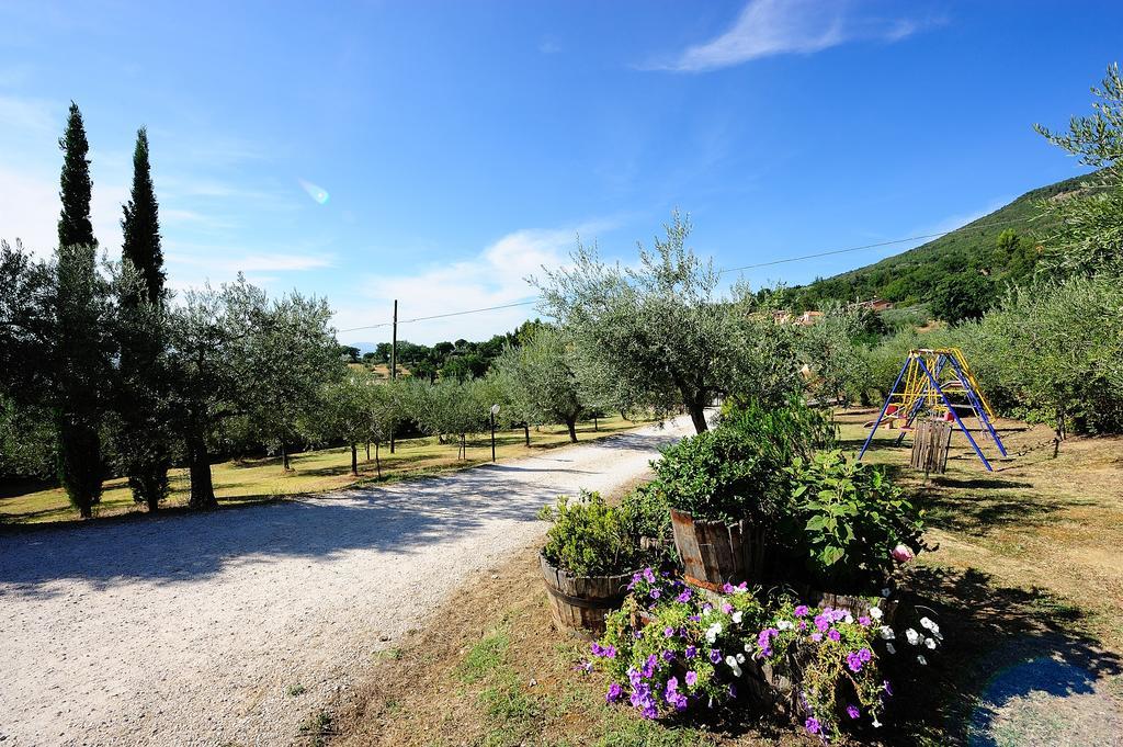 Hostal Colle Degli Olivi Snc Asís Exterior foto